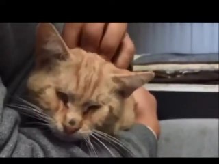 STEEVIE  REFUGE LA DESTROUSSE