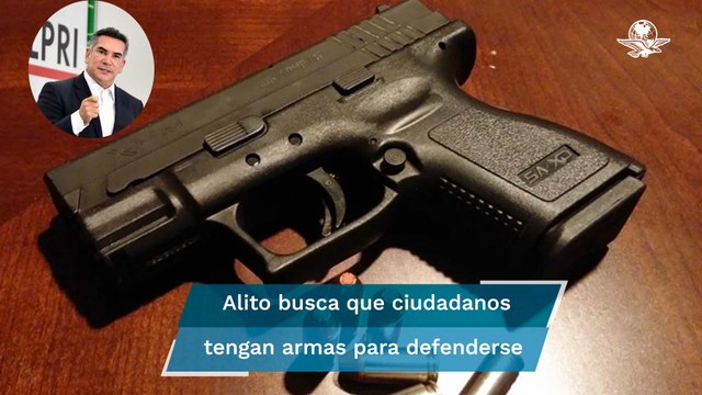El presidente del PRI propone que familias tengan acceso a armas de fuego para defenderse de la del
