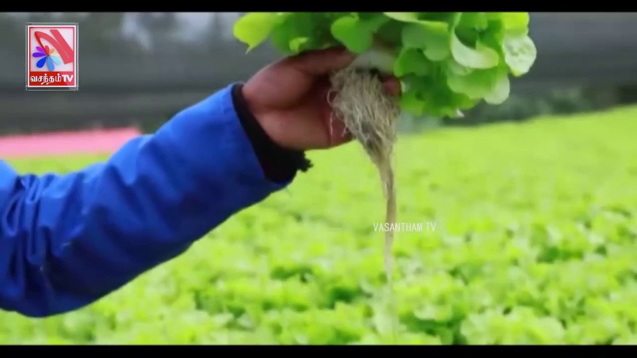 Ezham Naal-  Vasantham TV (26-06-2022)