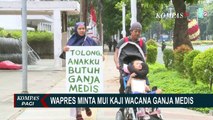 Wapres Maruf Amin Minta MUI Kaji Fatwa Legalitas Ganja untuk Medis