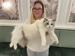 Jessica Woodrow interviewed at ANCATS show | June 26, 2022 | Hawkesbury Gazette