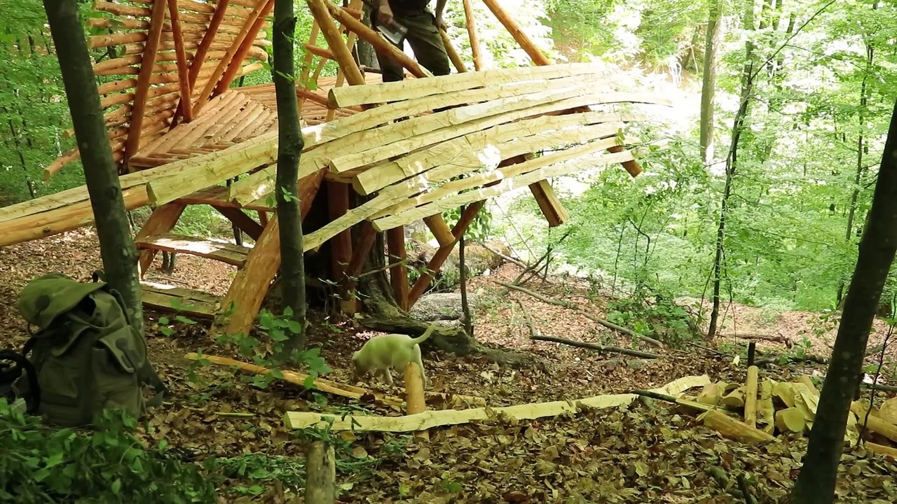 Tree house with your own hands Start to finish_