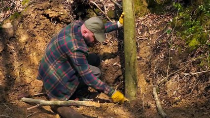 Building a Forest House in 30 DAYS - From Zero to Complete in