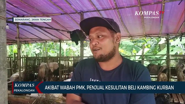 Akibat Wabah PMK, Penjual Kesulitan Beli Kambing Kurban