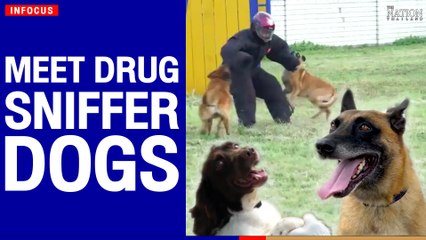 training base in Xiangyang, China's Hubei to find it out. | The Nation