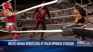 Micro Mania Wrestlers THROW HANDS on LIVE TV!