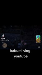 Red dead redemption 2 chapter 2 valentine