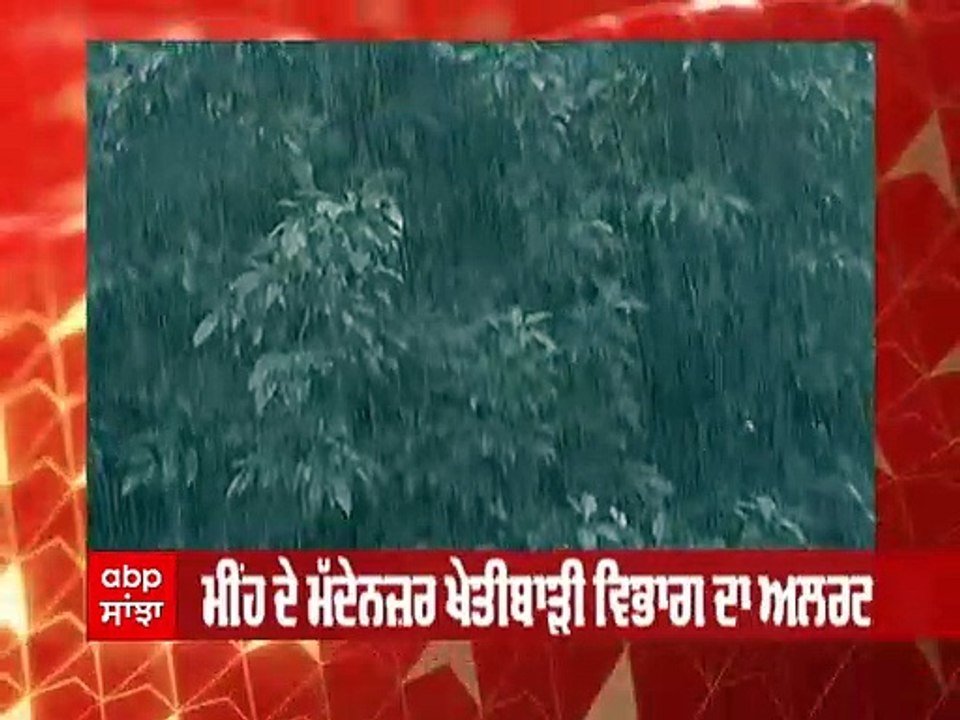 Punjab Weather Alert: ਪੰਜਾਬ 'ਚ ਭਾਰੀ ਮੀਂਹ ਦੇ ਮੱਦੇਨਜ਼ਰ ਖੇਤੀਬਾੜੀ ਵਿਭਾਗ ਨੇ ਜਾਰੀ ਕੀਤਾ ਅਲਰਟ
