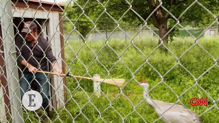 Mike Rowe: Why Entrepreneurs Crave the &#039;Reverse Commute&#039;