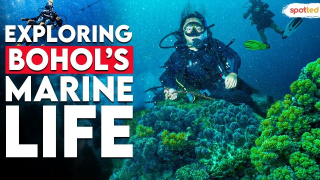 Discover Scuba Diving in Bohol | Bohol Tour | Spotted | Spot.ph