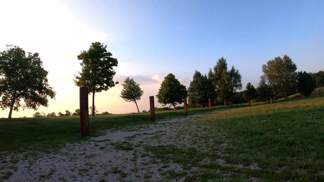 Wien Döbling am Rad: Baumkreis am Himmel frühmorgens