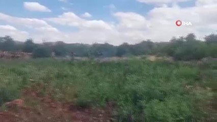 Son dakika haber: Diyarbakır'daki narko terör operasyonunun ilk gününde 6 milyonu aşkın kök kenevir ele geçirildi