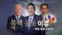 [영상] 尹-나토 사무총장 면담 연기..외교결례 지적 속 오늘밤 한미일 정상회담 / YTN