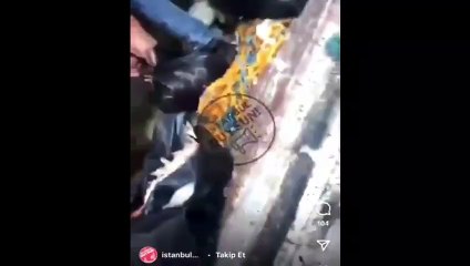 İstanbul'da iğrenç görüntüler! Tavuk böyle mi satılır?