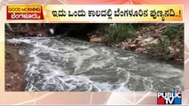 Industrial Wastewater Pollutes Arakavathi River | Bengaluru | Public TV