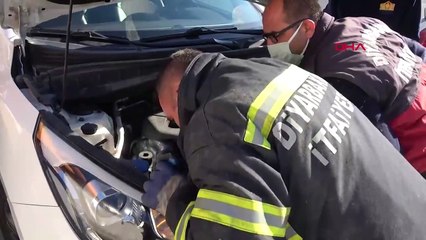 Minik kedinin kurtarıldıktan sonraki anları gülümsetti