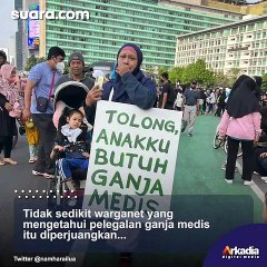Wapres Ma'ruf Minta MUI Buat Fatwa Ganja Medis, Publik: Alhamdulillah, Tapi Mohon Diperketat