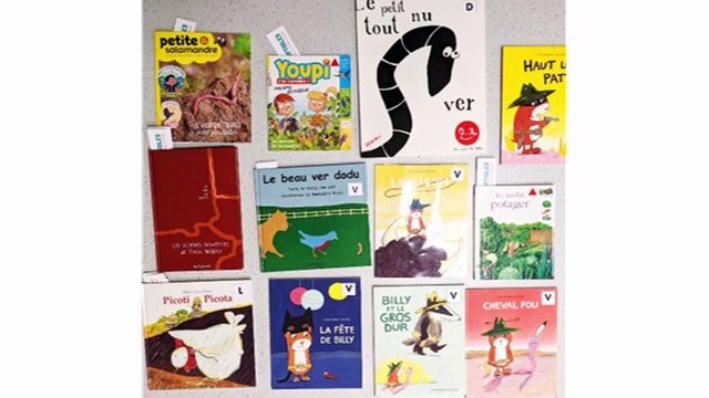 Vidéo de synthèse réalisée dans le cadre du défi départemental Sciences Technologies EDD « Biodiversité » 2021-2022