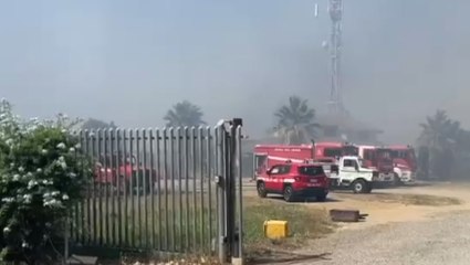 Assemini (CA) - Incendio di vegetazione in frazione Santa Lucia (29.06.22)