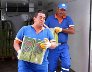 Kırkpınar'da pehlivanlar için 3 ton yağ kullanılacak