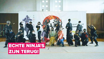 De echte ninja's zijn terug!