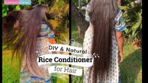 DIY Fermented Rice Water Deep Conditioner for Silky, Shiny, Long Hair | Sushmita's Diaries