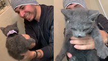 Rescuing Sassy Kitten Trapped in a Wall