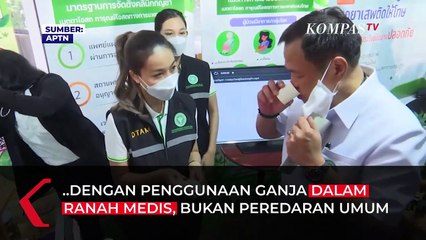 DPR Terbuka Kaji Legalisasi Ganja: Jika Terbukti Menyembuhan, Masuk Akal