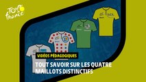 Vidéos pédagogiques - Les maillots distinctifs - #TDF2022