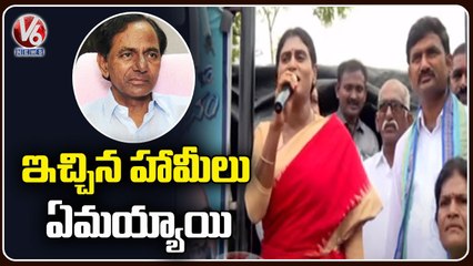 YSRTP Chief YS Sharmila Sensational Comments On KCR  _ Praja Prasthana Yatra _ Suryapeta _ V6 News