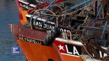 Proyecto de relocalización de los lobos marinos de la Banquina Chica de Mar del Plata