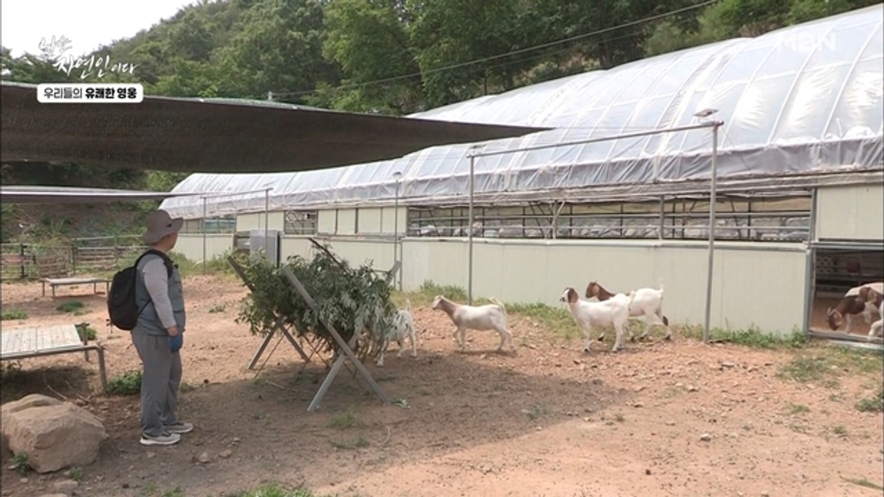 이승윤도 처음 본 염소?! 염소에 대해 잘 아는 자연인의 염소 사랑♡