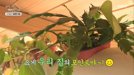 직장 생활 중 틈틈이 와서 지은 벽돌집! 자연인 집 내부의 포인트는 화초!?