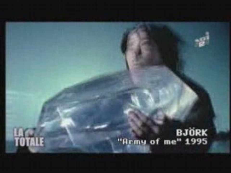 LA TOTALE michel gondry