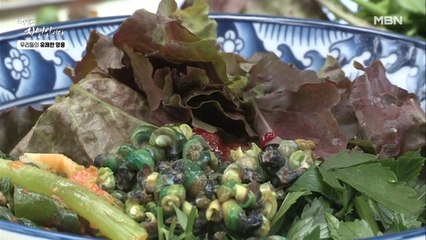 [자연 밥상] 맑은 물에서 잡은 다슬기와 토굴에서 꺼낸 열무의 완벽한 한 상!