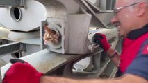 Vagona sıkışan kedi yavrusunu itfaiye ekipleri kurtardı