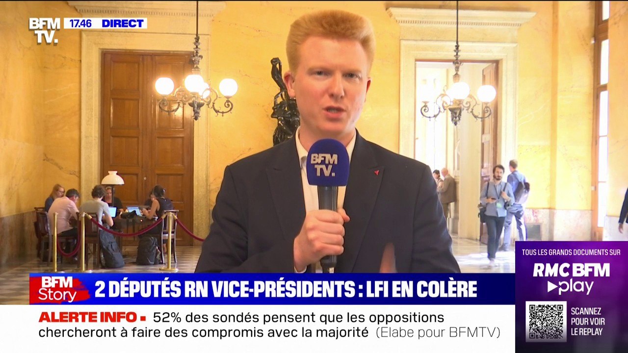 Adrien Quatennens: "Des députés macronistes ont saisi un bulletin de vote du RN et ont voté pour eux"