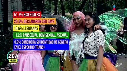 INEGI da a conocer su primera encuesta sobre diversidad sexual y género
