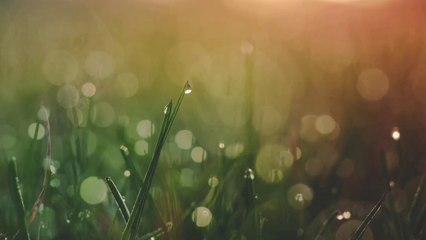 12 BEST QUOTES FROM EXPERTS