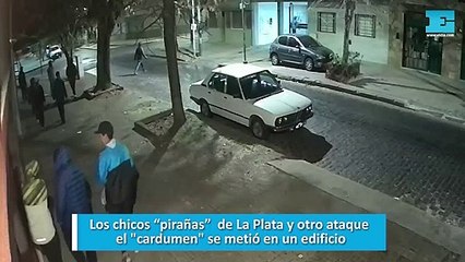 Los chicos “pirañas”  de La Plata y otro ataque: el "cardumen" se metió en un edificio