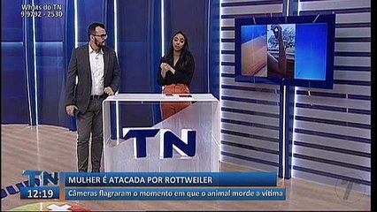 Tribuna Notícias 1ª Edição 29 06  2022