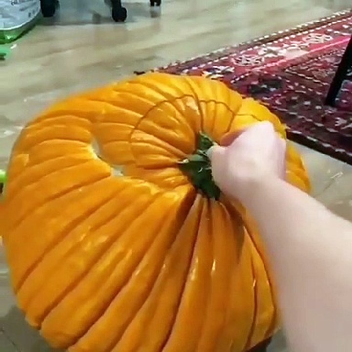 123242000_130229491873181_672838494105331397_n