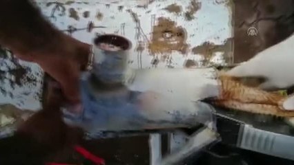 Atık su borusunda mahsur kalan yavru kedi kurtarıldı