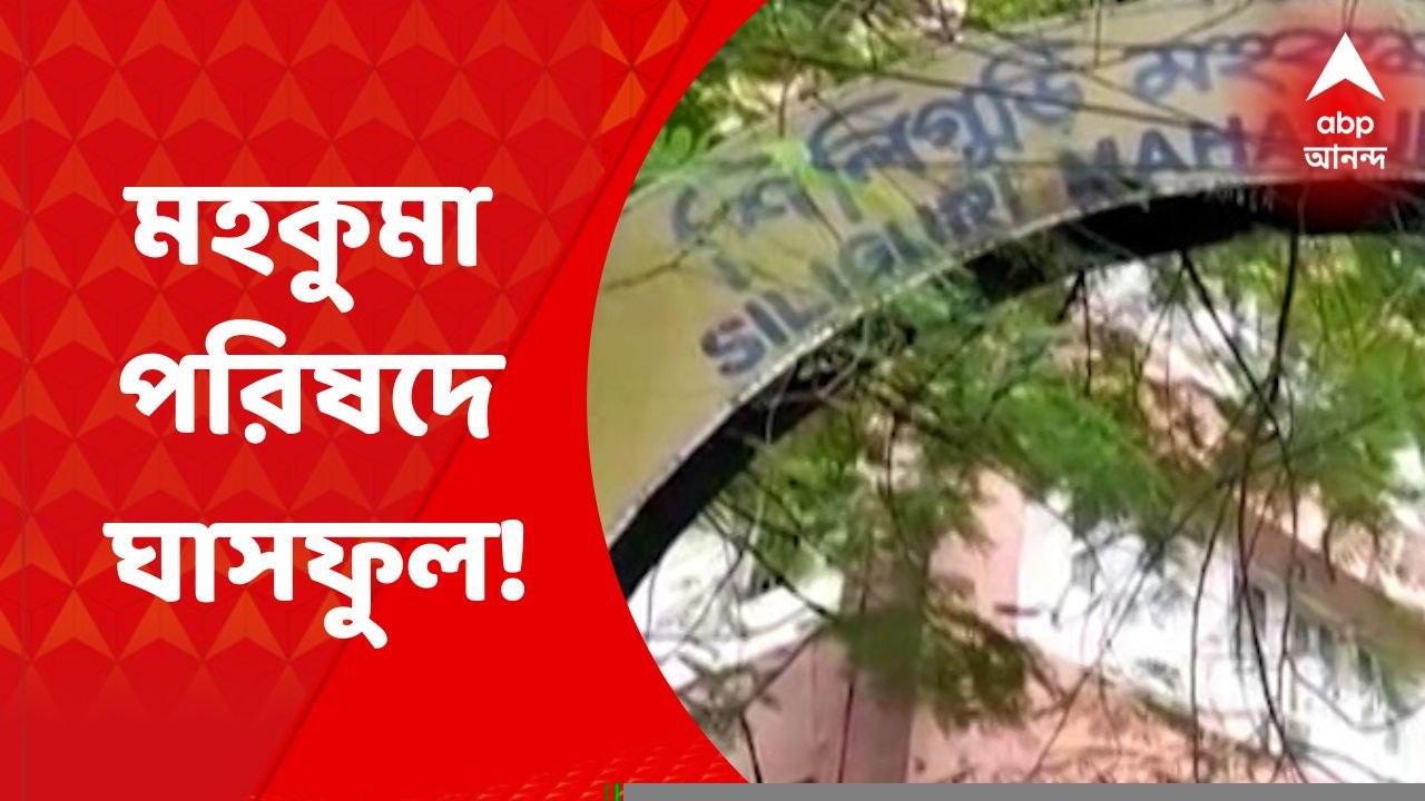 TMC: ৩ দশক পরে বামেদের হাত থেকে শিলিগুড়ি মহকুমা পরিষদ ছিনিয়ে নিল তৃণমূল | Bangla News