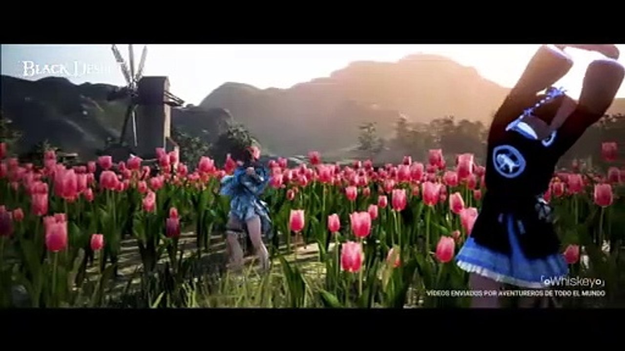 Recuerdos de Black Desert