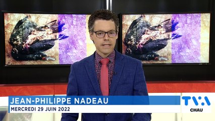 TVA Nouvelles CHAU 12h 29 juin 2022