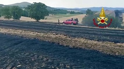 Massa Martana, campo e bosco in fiamme