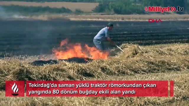 Tekirdağ'da 80 dönüm buğday tarlası yandı