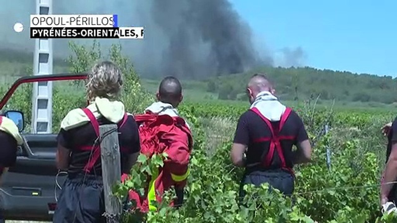 Pyrénées-Orientales: les pompiers continuent à surveiller l'incendie