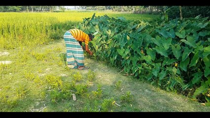 New Funny Video 2019    Episode 14   #BusyFunLtd